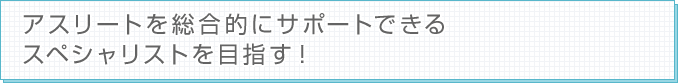 AX[g𑍍IɃT|[głXyVXgڎwI