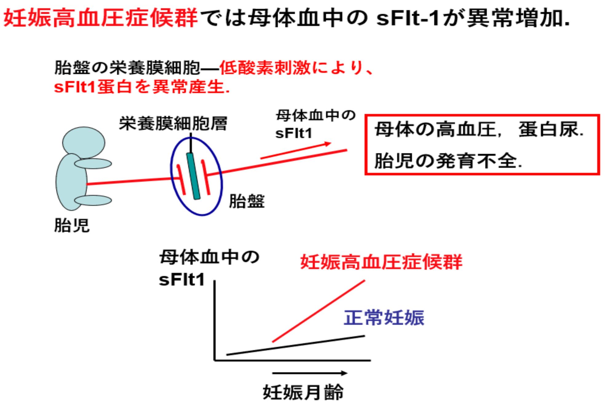 「産科の重大疾患の一つについて、その治療法開発を目指す東京大学との共同研究がAMED研究費に採択されました」